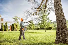 Best Hazardous Tree Removal  in Oakdale, CA