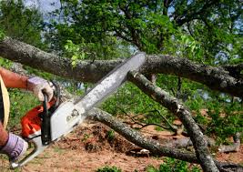 Best Lot and Land Clearing  in Oakdale, CA